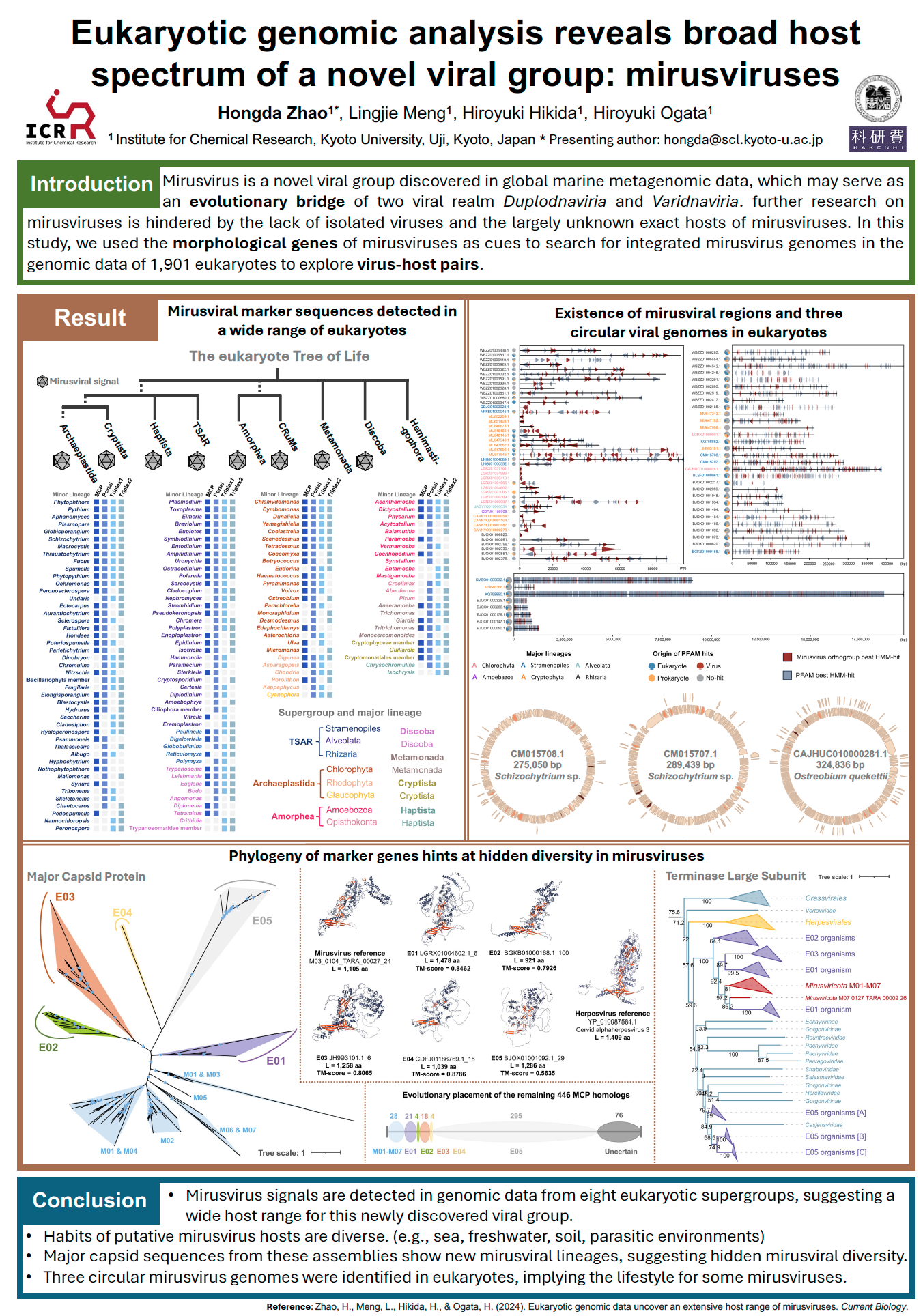 Scientific poster on the broad host spectrum of mirusviruses, presenting host-range, genomic-region, and phylogenetic analyses.